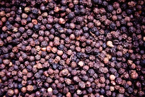 Peppercorns Stock Photos