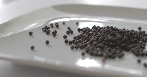 Peppercorns on a plate for cooking with spice Stock Footage