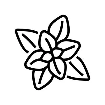 Peppermint aromatherapy line icon vector illustration Stock Illustration