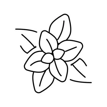 Peppermint aromatherapy line icon vector isolated illustration Stock Illustration