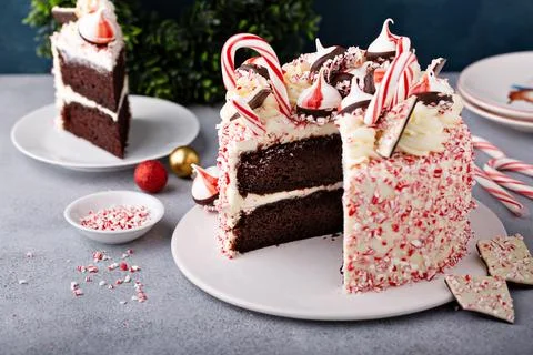 Peppermint bark and chocolate cake for Christmas on a festive background Stock Photos