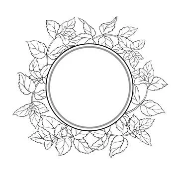 Peppermint Branch Outline Round Frame. Stock-Illustration