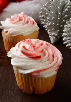 Peppermint Cupcakes Stock Photos
