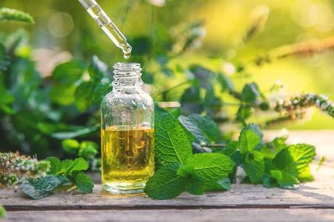 Peppermint essential oil in a bottle. selective focus. Stock Photos