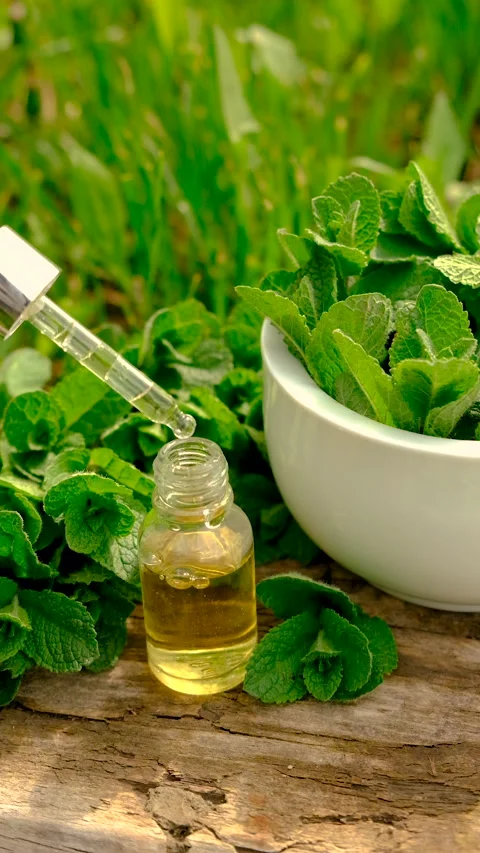 Peppermint extract essential oil and supplements. Selective focus. Stock Footage 310054722