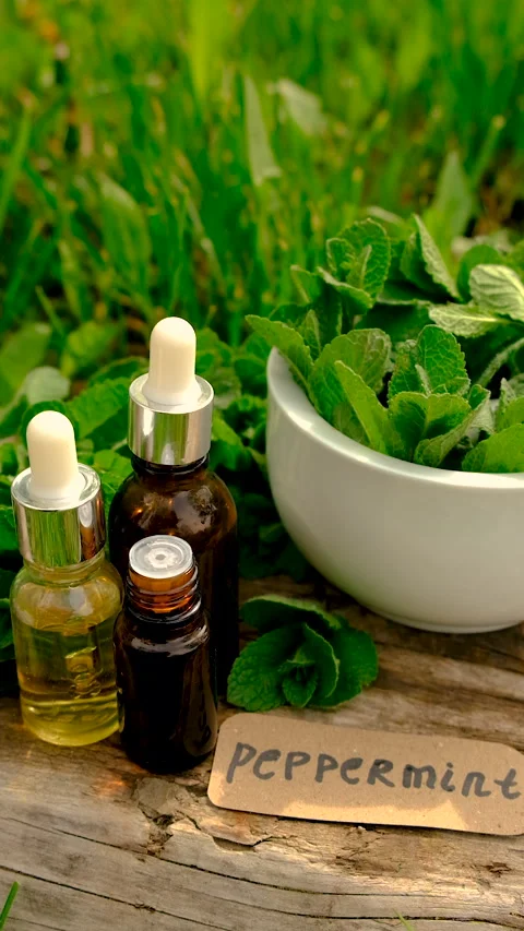 Peppermint extract essential oil and supplements. Selective focus. Video stock 310097823