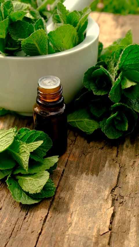 Peppermint extract essential oil and supplements. Selective focus. Stock Footage 311697441