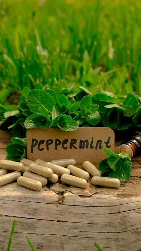 Peppermint extract essential oil and supplements. Selective focus. Stock Footage 312350334