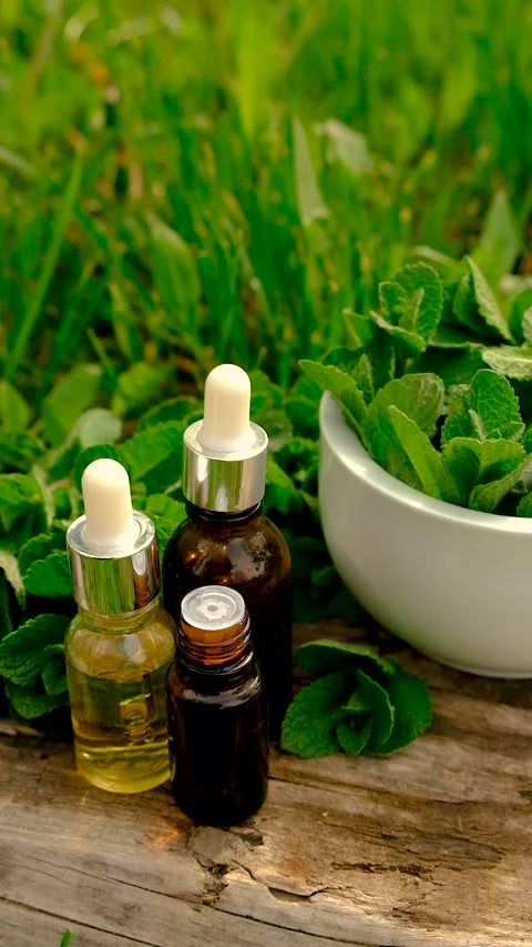 Peppermint extract essential oil and supplements. Selective focus. Stock Footage 312461386