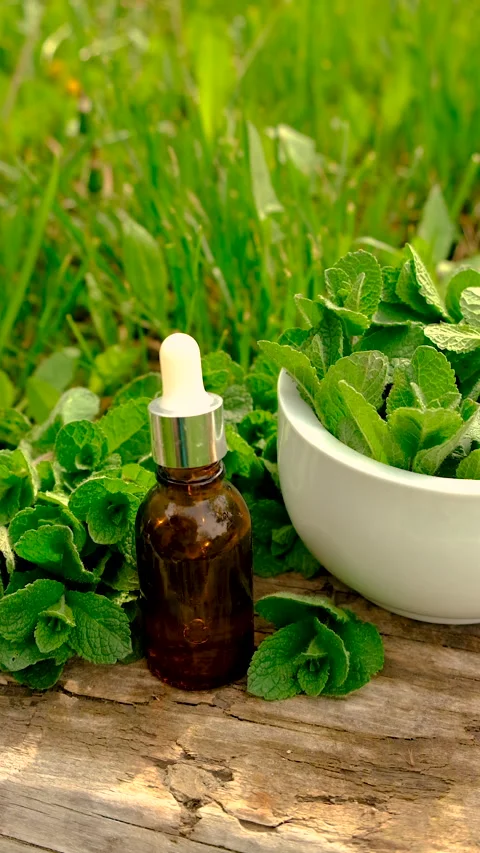 Peppermint extract essential oil and supplements. Selective focus. Stock Footage 312461429