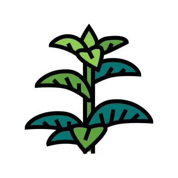 Peppermint herb color icon vector illustration Stock Illustration