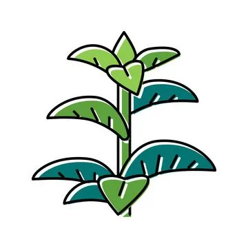 Peppermint herb color icon vector illustration Stock Illustration