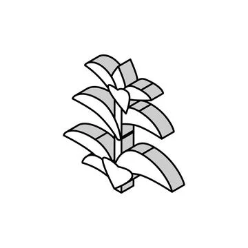 Peppermint herb isometric icon vector illustration Stock Illustration