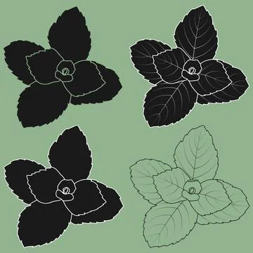 Peppermint Herb Spice Mint Leaf Outline Silhouette Stock Illustration