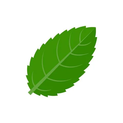 Peppermint icon flat isolated vector Stock Illustration
