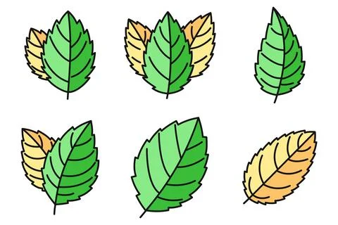 Peppermint icons set vector color Stock Illustration