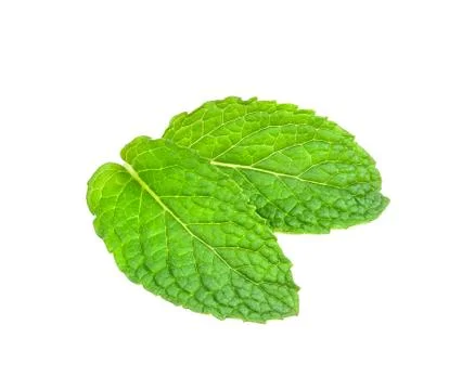 Peppermint isolated on the white background Stock Photos