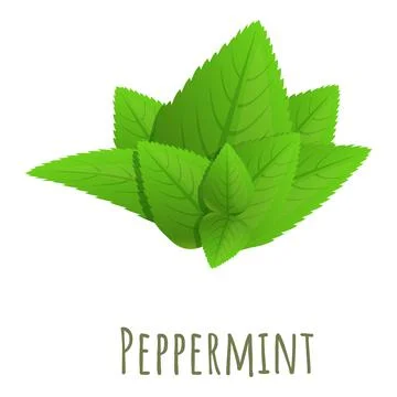 Peppermint leaf icon, cartoon style Stock Illustration