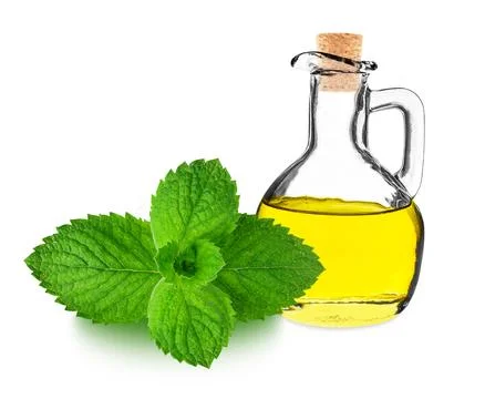 Peppermint oil in a bottle Stock Photos