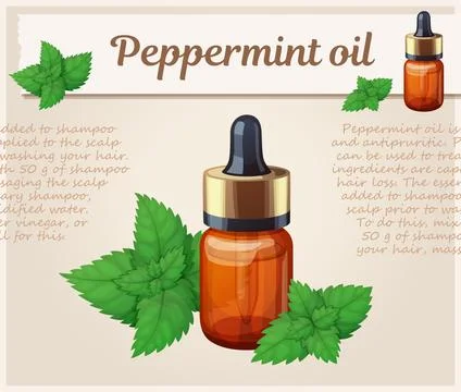 Peppermint oil in a small bottle vector icon, cartoon illustration of essential Stock Illustration