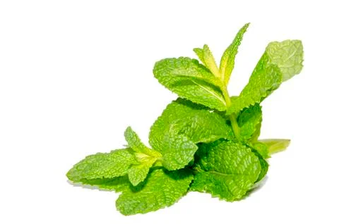 Peppermint Stock Photos