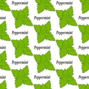 Peppermint seamless pattern Stock Illustration