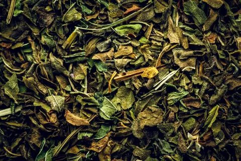 Peppermint tea macro Background Stock Photos