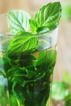 Peppermint Tea Stock Photos