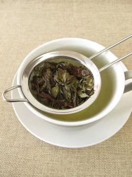 Peppermint tea in tea strainer Stock-Fotos