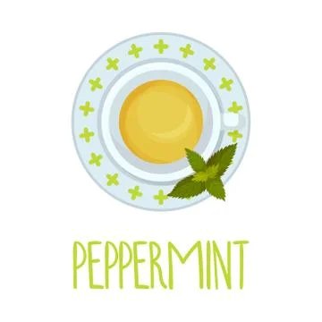 Peppermint Tea Vector Illustration View From Above Stock Illustration
