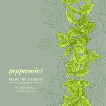 Peppermint vector background Stock Illustration
