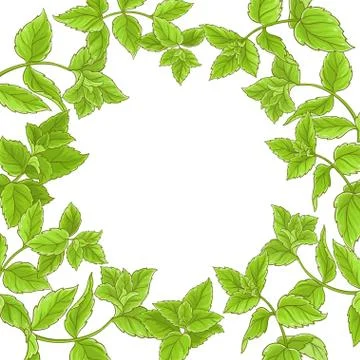 Peppermint  vector  frame Stock Illustration