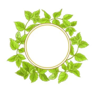 Peppermint  vector  frame Stock Illustration