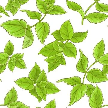 Peppermint vector pattern Illustrazione stock