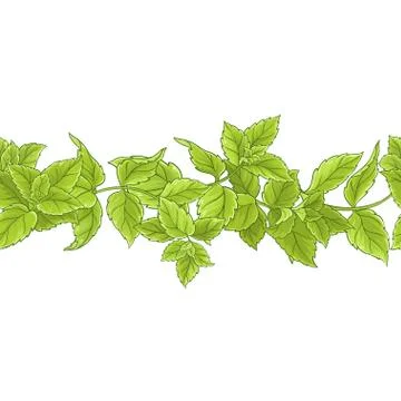 Peppermint vector pattern Stock Illustration