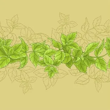 Peppermint  vector seamless pattern Illustrazione stock