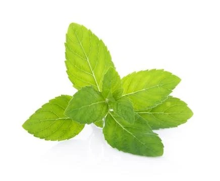 Peppermint on white background Fotos Stock