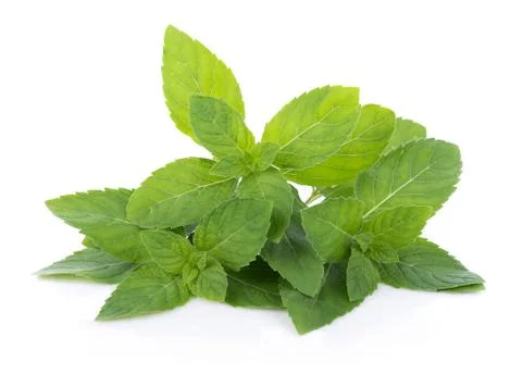 Peppermint on white background Fotos Stock
