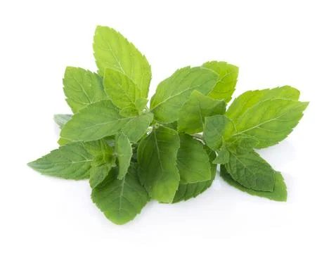 Peppermint on white background Stock-Fotos