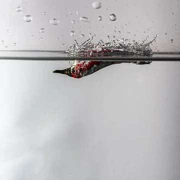 Pepperoni drops in water Stock Photos