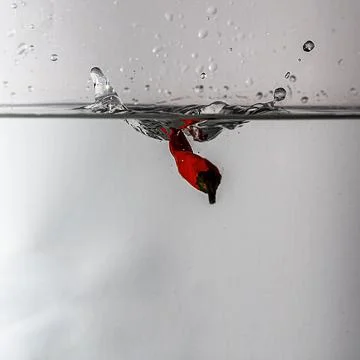 Pepperoni drops in water Stock Photos