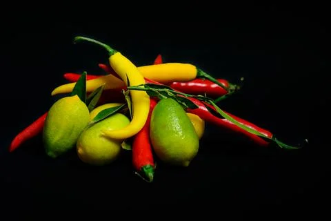Pepperoni &amp; Limes Stock Photos
