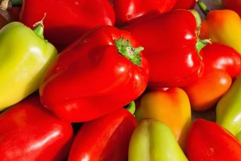 Peppers background Stock Photos