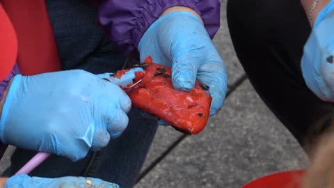 Peppers being peeled Video stock 141052962