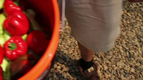 Peppers in bucket Stock Footage 12131801