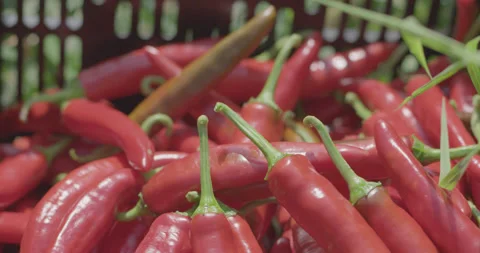 Peppers falling 2 Stockbeeldmateriaal 134101548