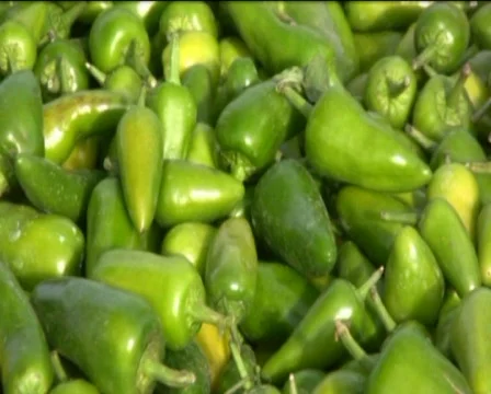  peppers  Stock Footage 560346
