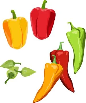 Peppers Stock Illustration
