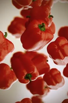 Peppers Illustration