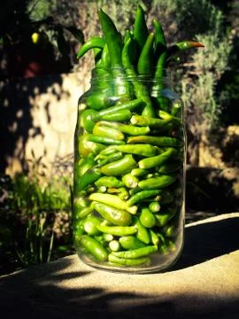 Peppers in the jar Stock Photos